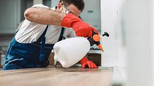 Best Commercial Pest Control  in Piermont, NY